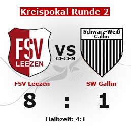fsvvsgallinbild